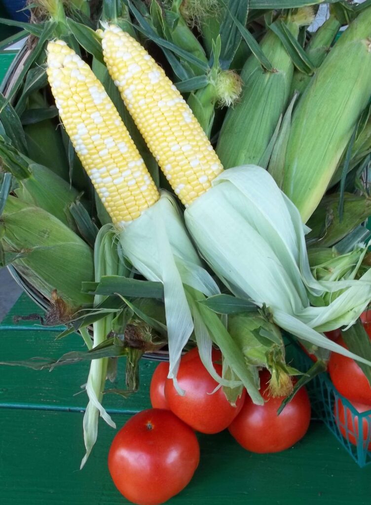Freshly harvested corn and tomatoes