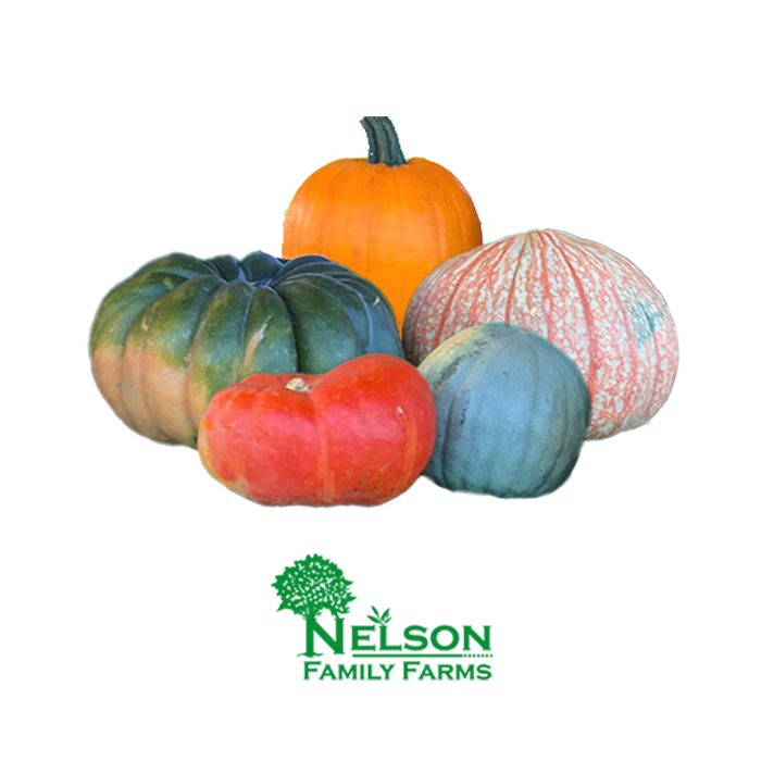 Fresh Autumn Squash in transparent background with Nelson Family Farms logo