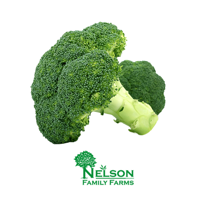 Fresh Broccoli in transparent background with Nelson Family Farms logo