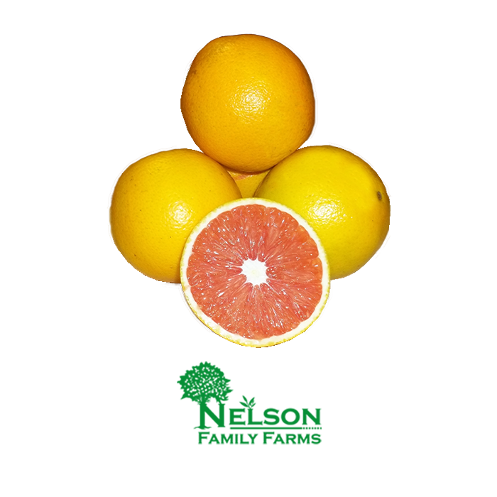 Nelson Family Farms- Grapefruit Citrus