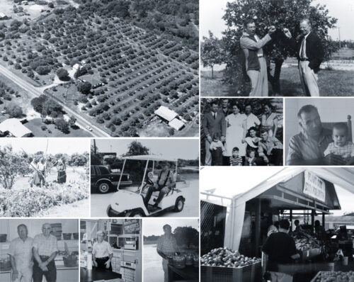 A collage photo of Nelson Family Farm history