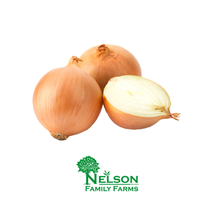 Fresh Onion in transparent background with Nelson Family Farms logo