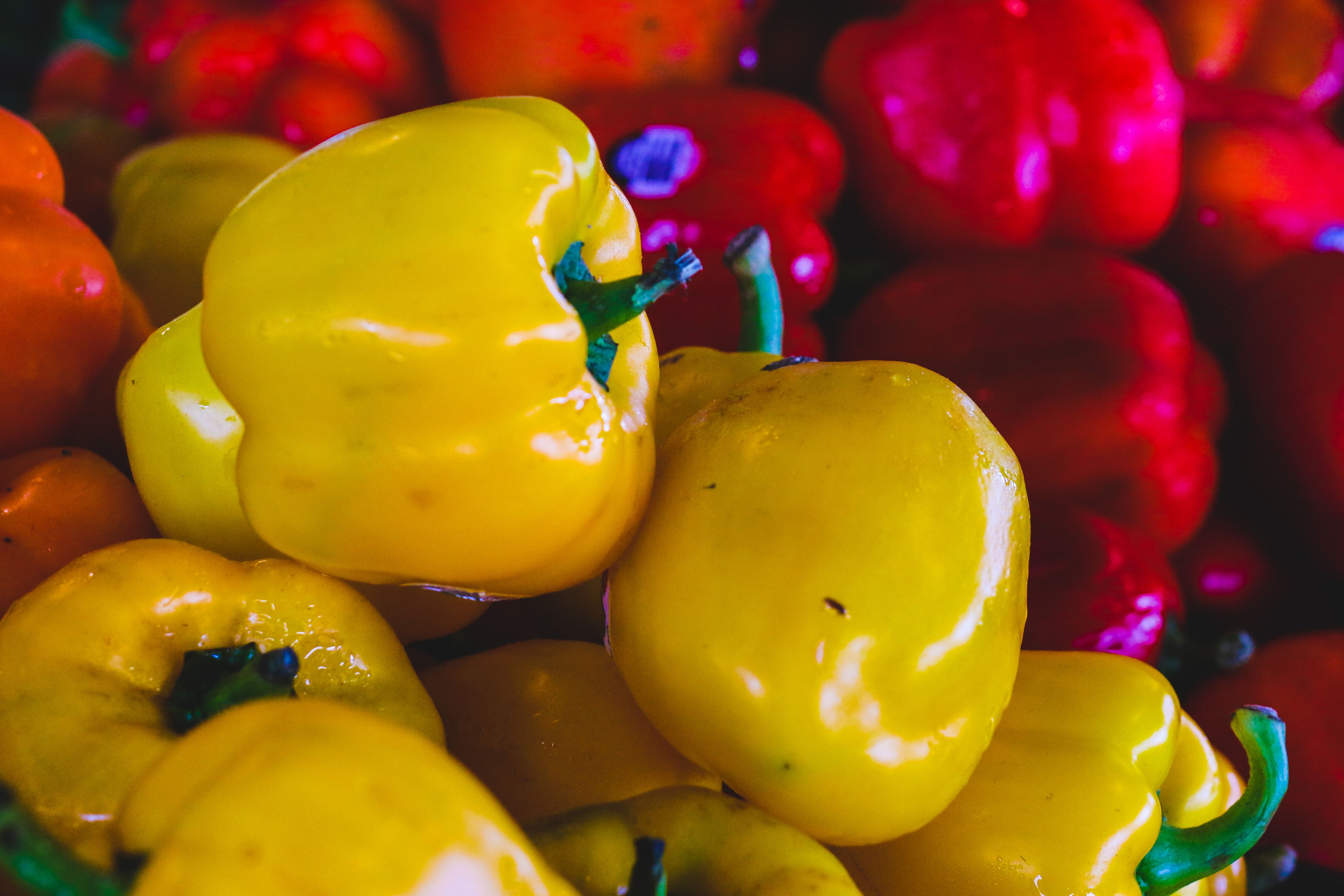 Scotch Bonnet Peppers | Nelson Family Farms