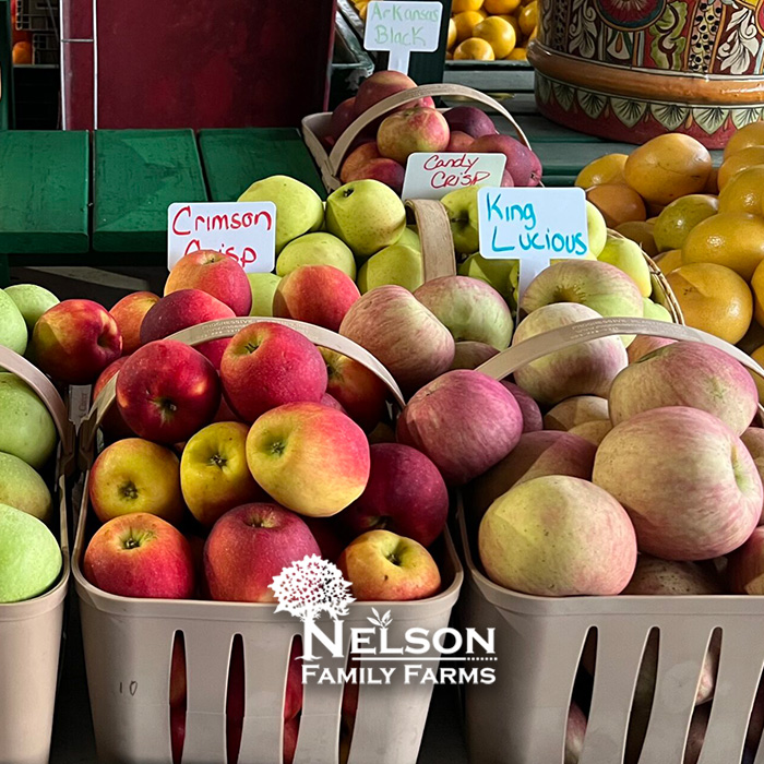 Fresh Apples at Nelson Family Farms