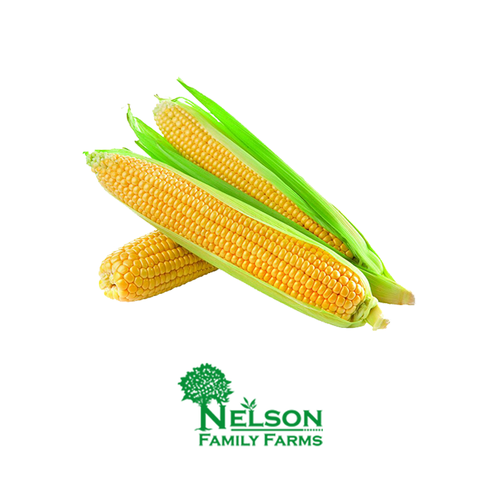 Fresh Corn in transparent background with Nelson Family Farms logo
