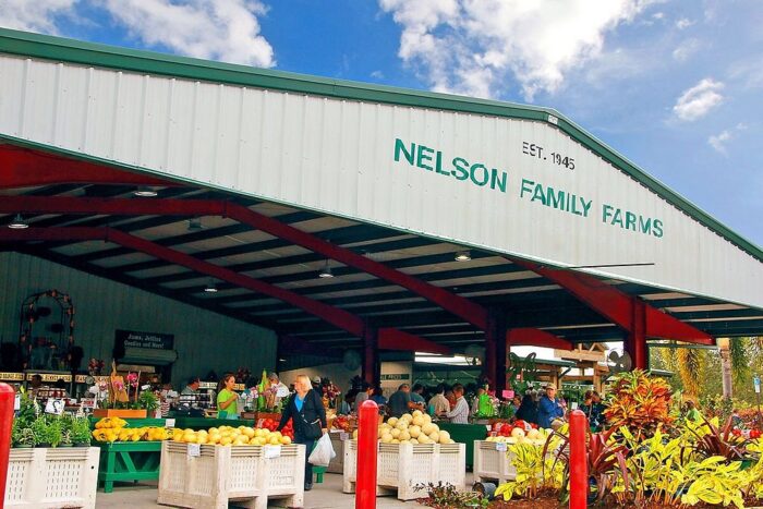 Outside view of Nelson Family Farms market