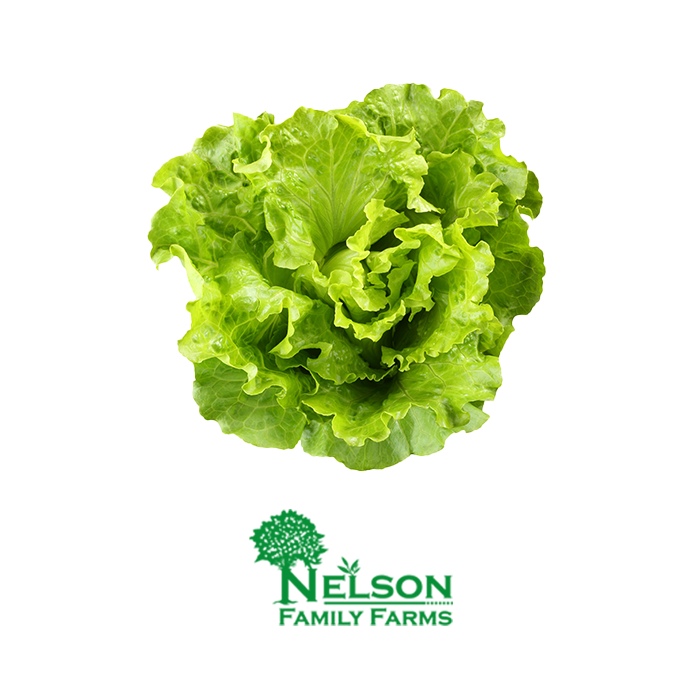 Nelson Family Farms - Fresh Lettuce