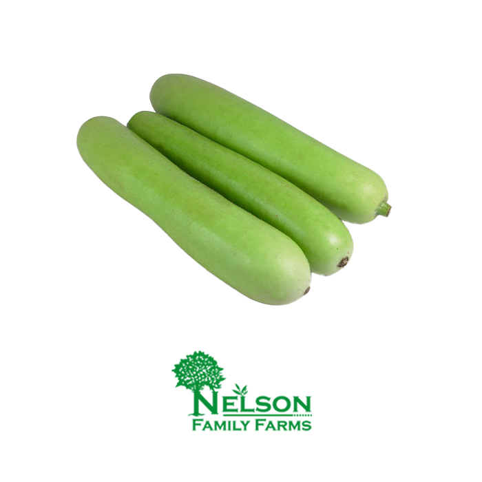 Fresh long squash in transparent background with Nelson Family Farms logo