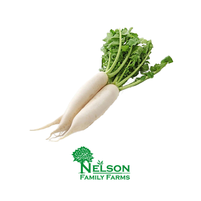 Fresh Radishes in transparent background with Nelson Family Farms logo