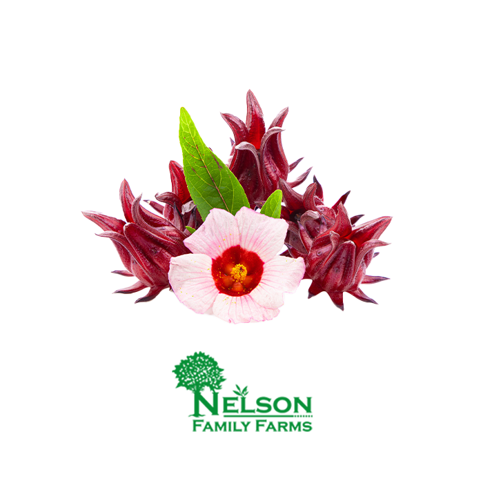 Fresh Sorrel Flowers in transparent background with Nelson Family Farms logo
