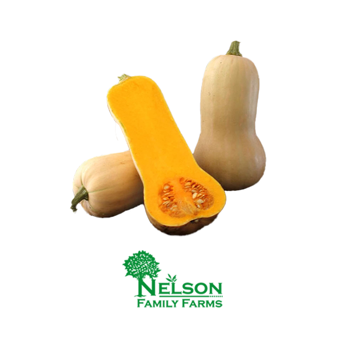 Fresh Squash in transparent background with Nelson Family Farms logo