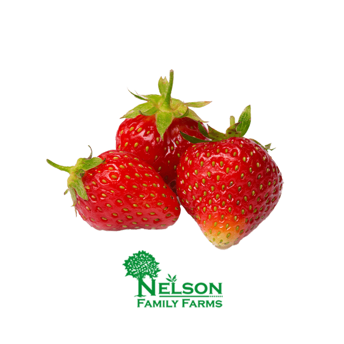 Nelson Family Farms- Fresh Strawberries