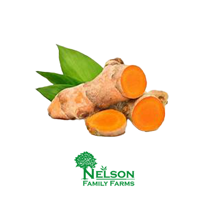 Nelson Family Farms - Turmeric Root