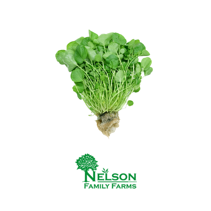 Fresh Watercress in transparent background with Nelson Family Farms logo