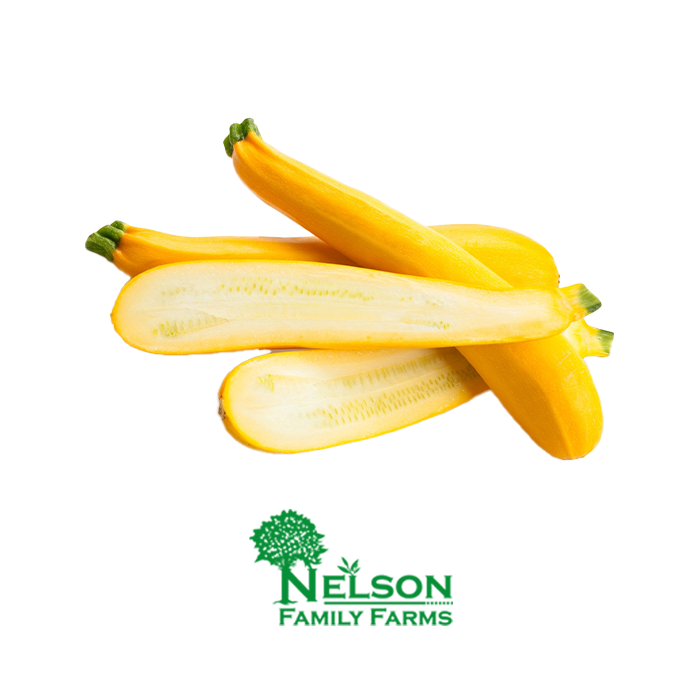 Nelson Family Farms - Yellow Squash